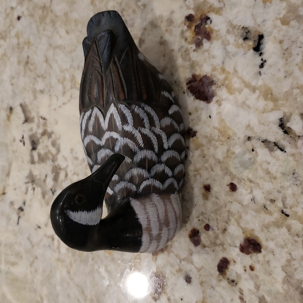 Duck